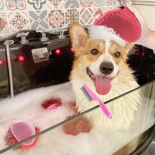 "8-teiliges Hundepflegeset: Bürste, Nagelschneider, Flohkamm ect.