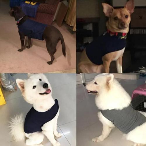 Atmungsaktiver Anti-Angst Hundemantel Beruhigende Weste für Welpen Stressabbau & Komfort