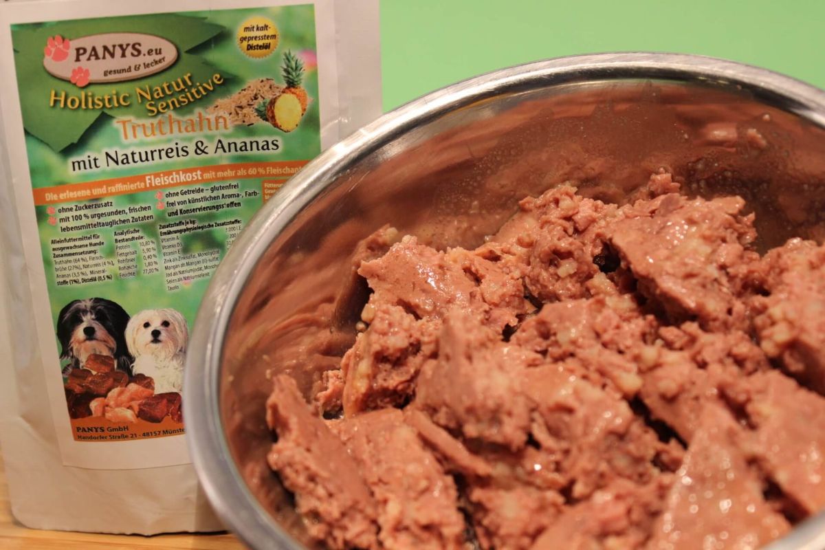 Holistic Menü Truthahn & Naturreis – Jetzt 10% Rabatt sichern! | Schweiz PANY’S