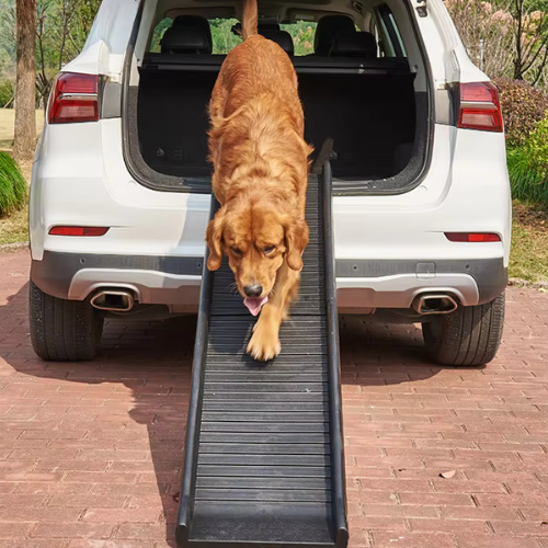 Klappbare Hundeleiter für ältere Hunde & Gelenkprobleme – Rutschfeste Rampe