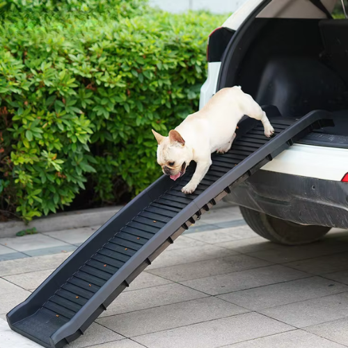 Klappbare Hundeleiter für ältere Hunde & Gelenkprobleme – Rutschfeste Rampe