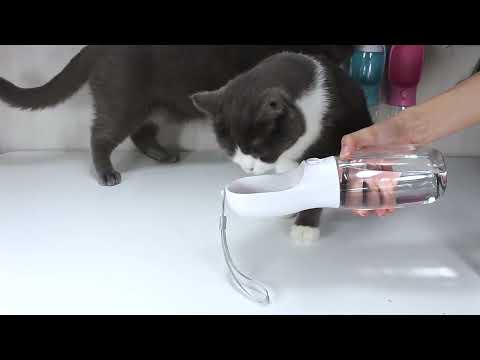Tragbare Wasserflasche 3 in 1 für Hunde und Katzen