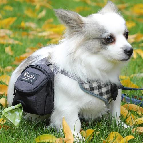 Pet Dog Treat Pouch Poop Dispenser Portable Multifunction Dog Training Bag Outdoor Travel Dog Bag Durable Pet Accessories